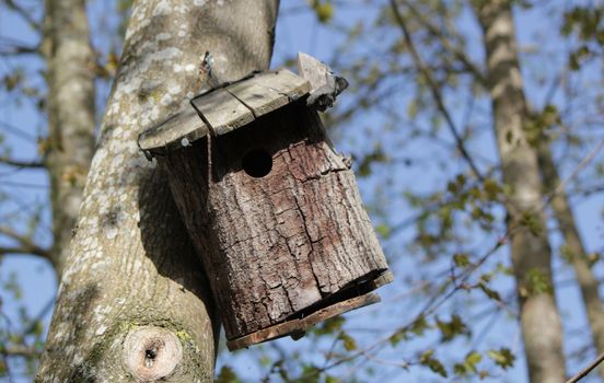 Little bird house hanging on the trunk of a tree in the forest by beautiful weather