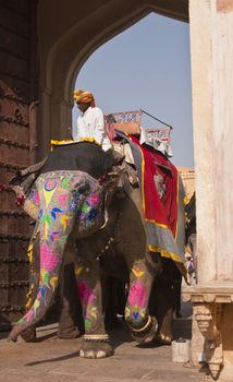 Mahout riding a decorated elephant at Amber Fort in Jaipur, Rajasthan, India.