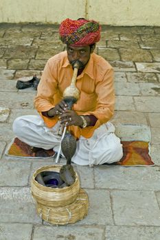 Snake charmer playing musical instrument whilst two snakes emerge from a basket