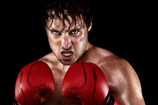 Boxer Boxing staring angry, mean and sweat showing strength. Young man looking aggressive with boxing gloves. Caucasian male model isolated on black background.