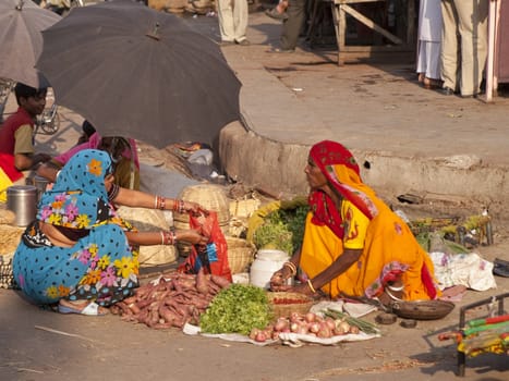 Woman selling vegetables by the road in Jaipur, Rajasthan, India.