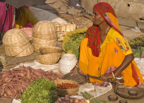 Woman selling vegetables by the road in Jaipur, Rajasthan, India. In India poor women often sell vegetables to earn a small cash income.