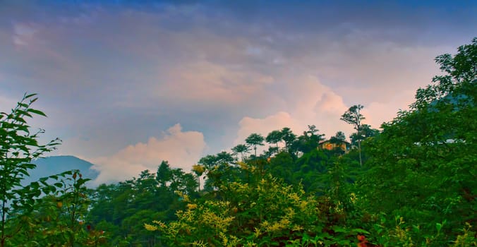 Cottage on a hill, Mountain landscape of Rishop, Darjeeling