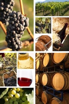 collage of wine pictures