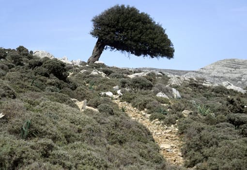 Greek landscape on Rhodos
