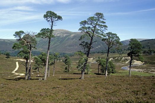 Highlands in Scotland