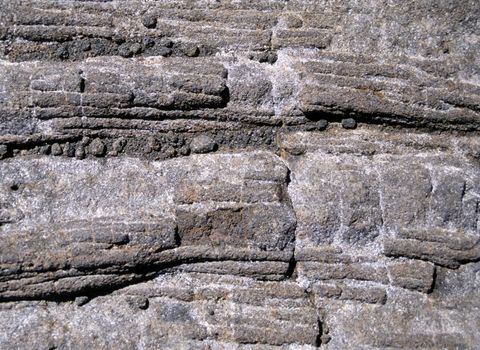 Rock texture