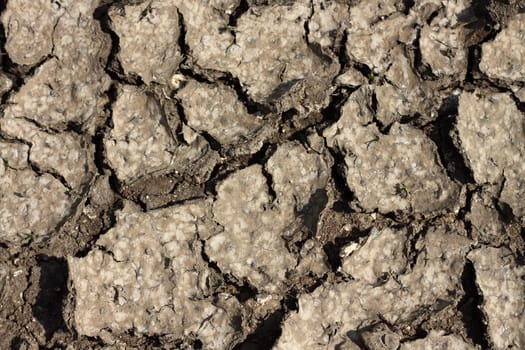 Cracked mud close up background