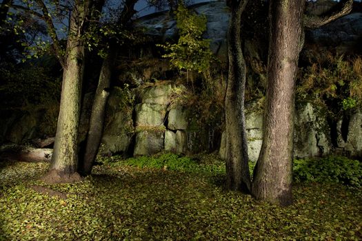 Autumn forest in night-time by flash lightning