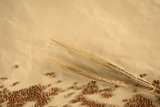Grain on brown paper background