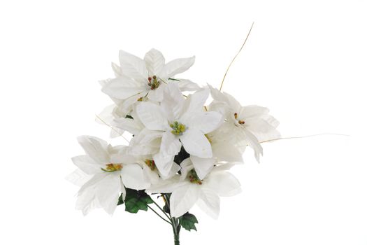 bouquet of flowers, photo on the white background