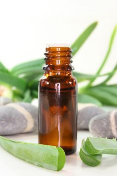 a small bottle and aloe on a white background