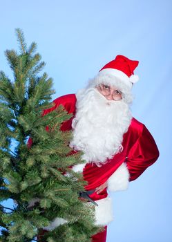 Santa and Christmas tree. In studio. Vertical view