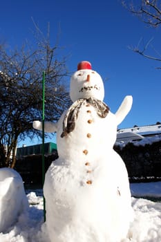 snowman in a winter scene....