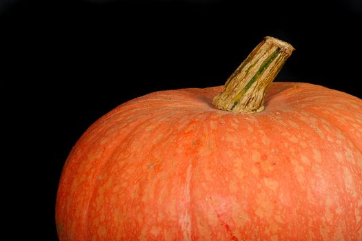 Halloweens orange pumpkin photo on the black background