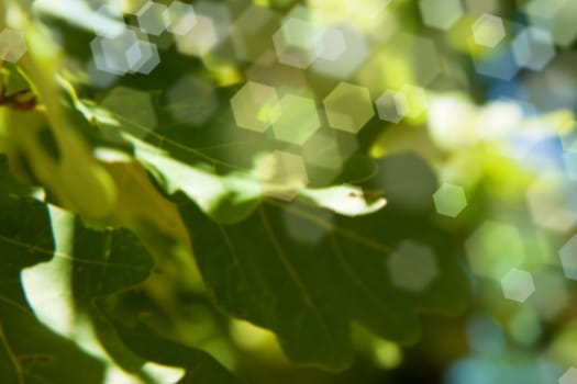 abstract background with colored reflections of light
