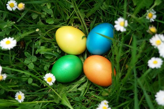 colorful Easter egg in the fresh  spring meadow