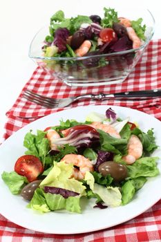 mixed leaf salad with shrimp and tomatoes