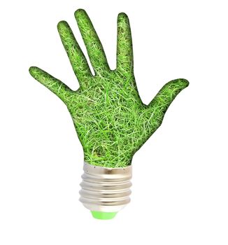 lightbulb - hand with grass. Concept - eco energy