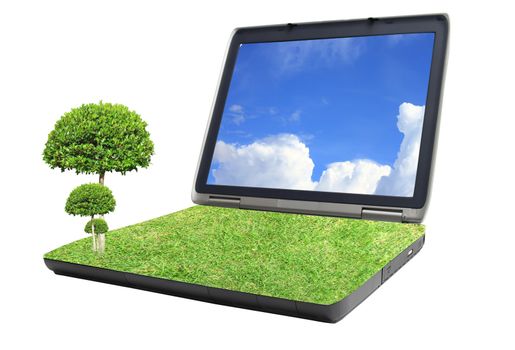 tree on grass laptop