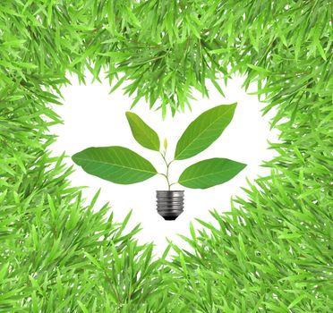 Green eco friendly design concepts