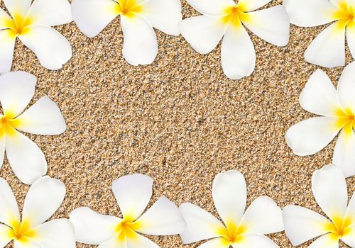 Frangipani flower frame on sand at the beach