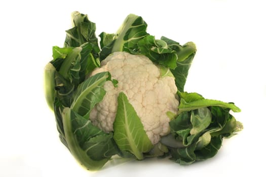 a cauliflower on a white background