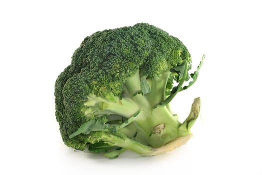 green broccoli head on a white background