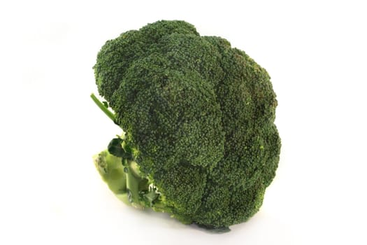 green broccoli head on a white background