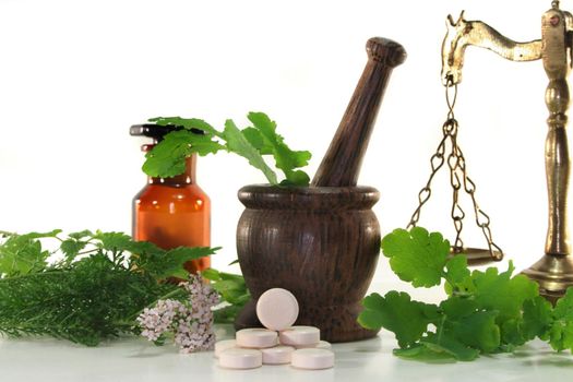 fresh herbs and spices on a white background