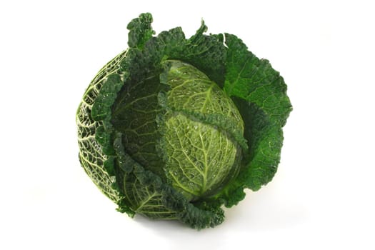 fresh, raw savoy cabbage on a white background