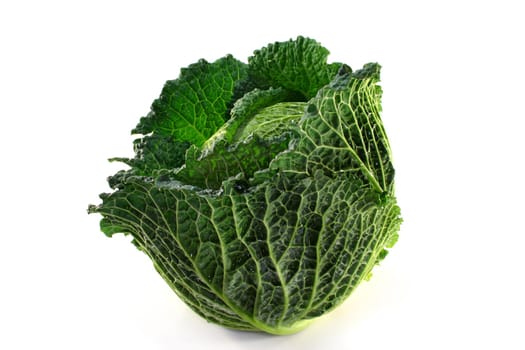 fresh, raw savoy cabbage on a white background
