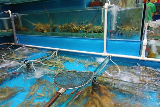 Seafood market in Hong Kong