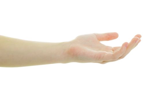 Hand of the girl palm up on a white background