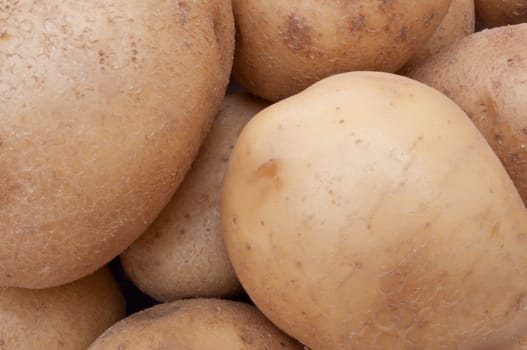 Close up on a selection of raw organic potatoes