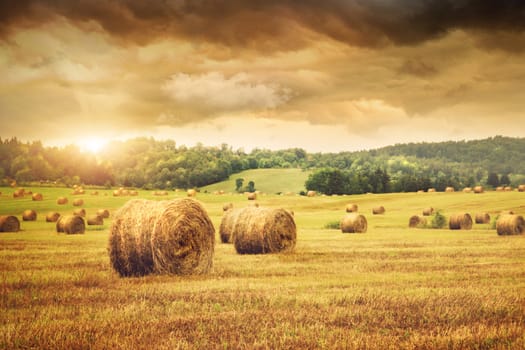 Field of freshly cut bales of hay with beautiful sunset