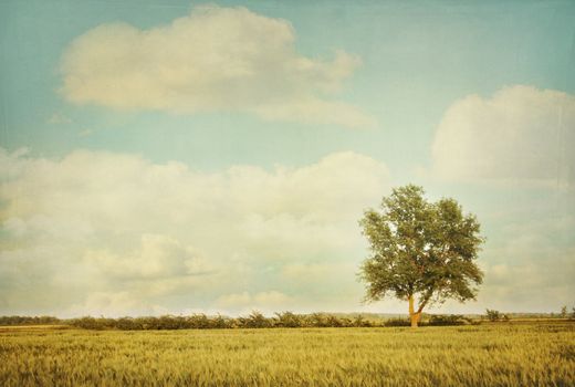 Lonely tree in meadow with a vintage look