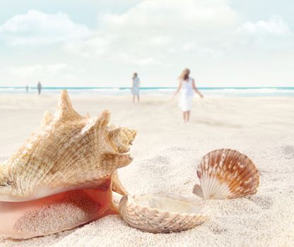 Beach scene with people walking and seashells in sand