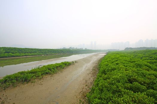 Wetland in Hong Kong in a highly polluted day, shows serious air pollution.
