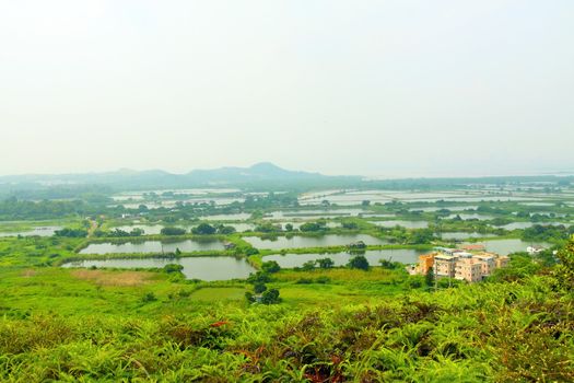 Fish ponds and farmland in Hong Kong