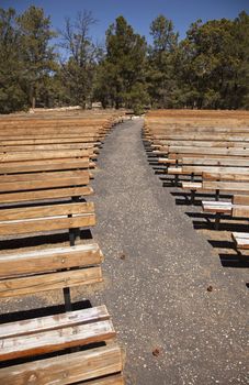 Outdoor Wooden Amphitheater Seating and Pine Cones, Pine Needles and Trees Abstract.