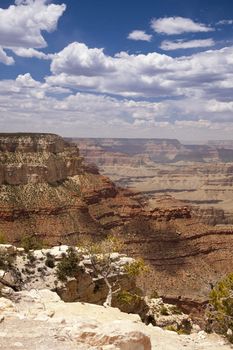 Beautiful Landscape of the Grand Canyon, Arizona.