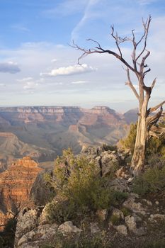 Beautiful Landscape of the Grand Canyon, Arizona.