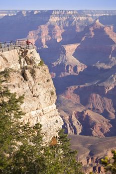 Woman in Red Shirt Enjoys the Beautiful Grand Canyon Landscape from the View Point.