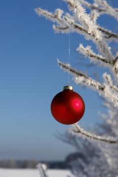 a red bauble in snowy winter landscape