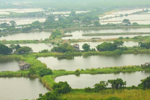 Fishing ponds and wetland area