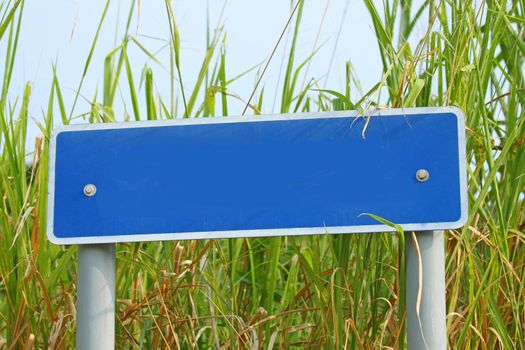 Blank signage in countryside