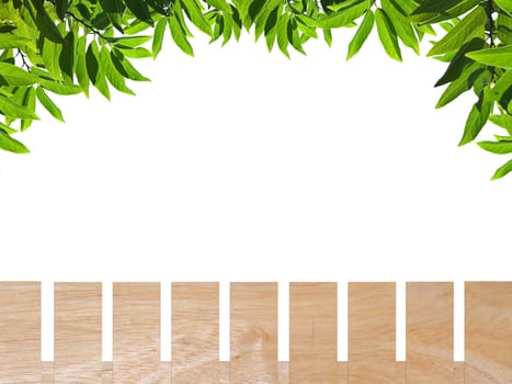 Wooden fence with green leaf isolate on white