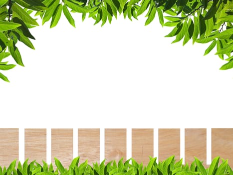 Wooden fence with green leaf isolate on white