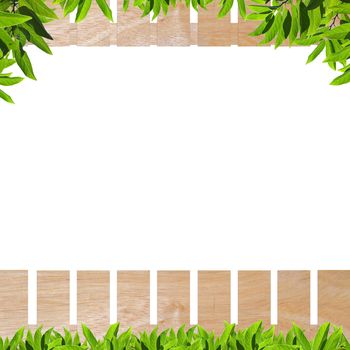 Wooden fence with green leaf isolate on white